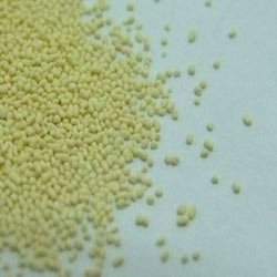 Phytase Powder Manufacturer Supplier Wholesale Exporter Importer Buyer Trader Retailer in Surat Gujarat India